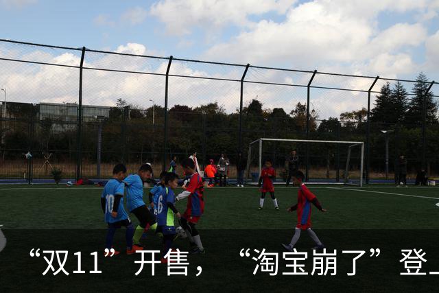 “双11”开售，“淘宝崩了”登上热搜，淘宝回应已恢复