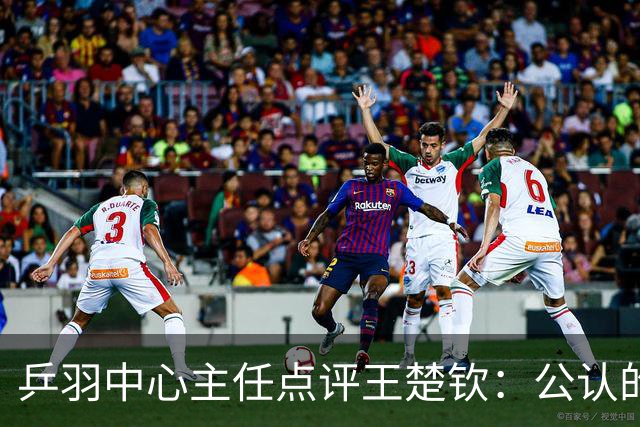 乒羽中心主任点评王楚钦：公认的天才，上限很高，但下限也很低，引发球迷热议