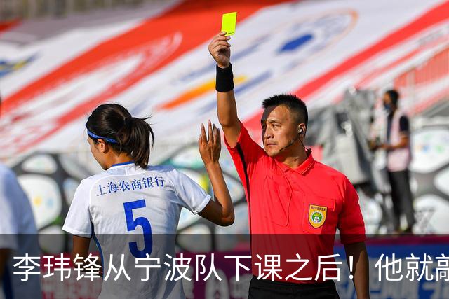 李玮锋从宁波队下课之后！他就敲定了新去处，未来专心搞青训
