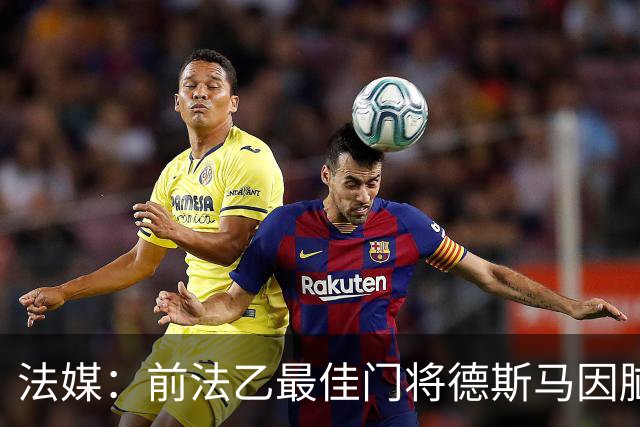 法媒：前法乙最佳门将德斯马因脑震荡后遗症宣布退役