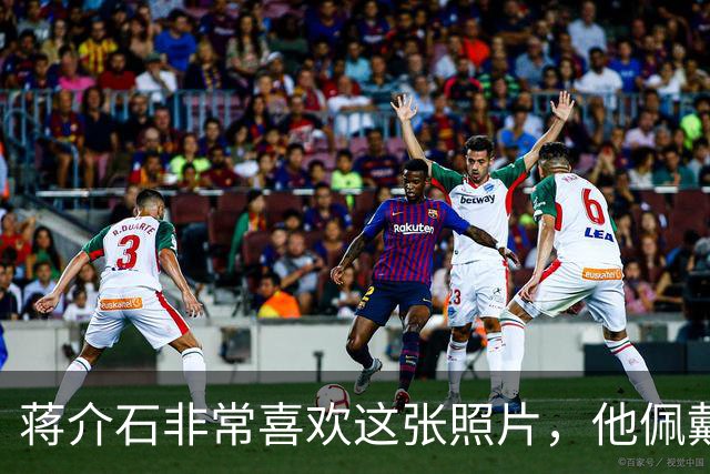 蒋介石非常喜欢这张照片，他佩戴的六枚勋章都代表着什么意义？