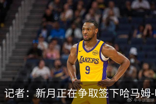 记者：新月正在争取签下哈马姆-哈马米和菲拉斯-布赖坎