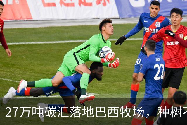 27万吨碳汇落地巴西牧场，种树不赶牛还能多一份收入