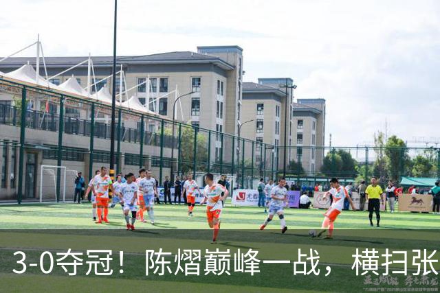 3-0夺冠！陈熠巅峰一战，横扫张本美和原因曝光，王励勤没看错她